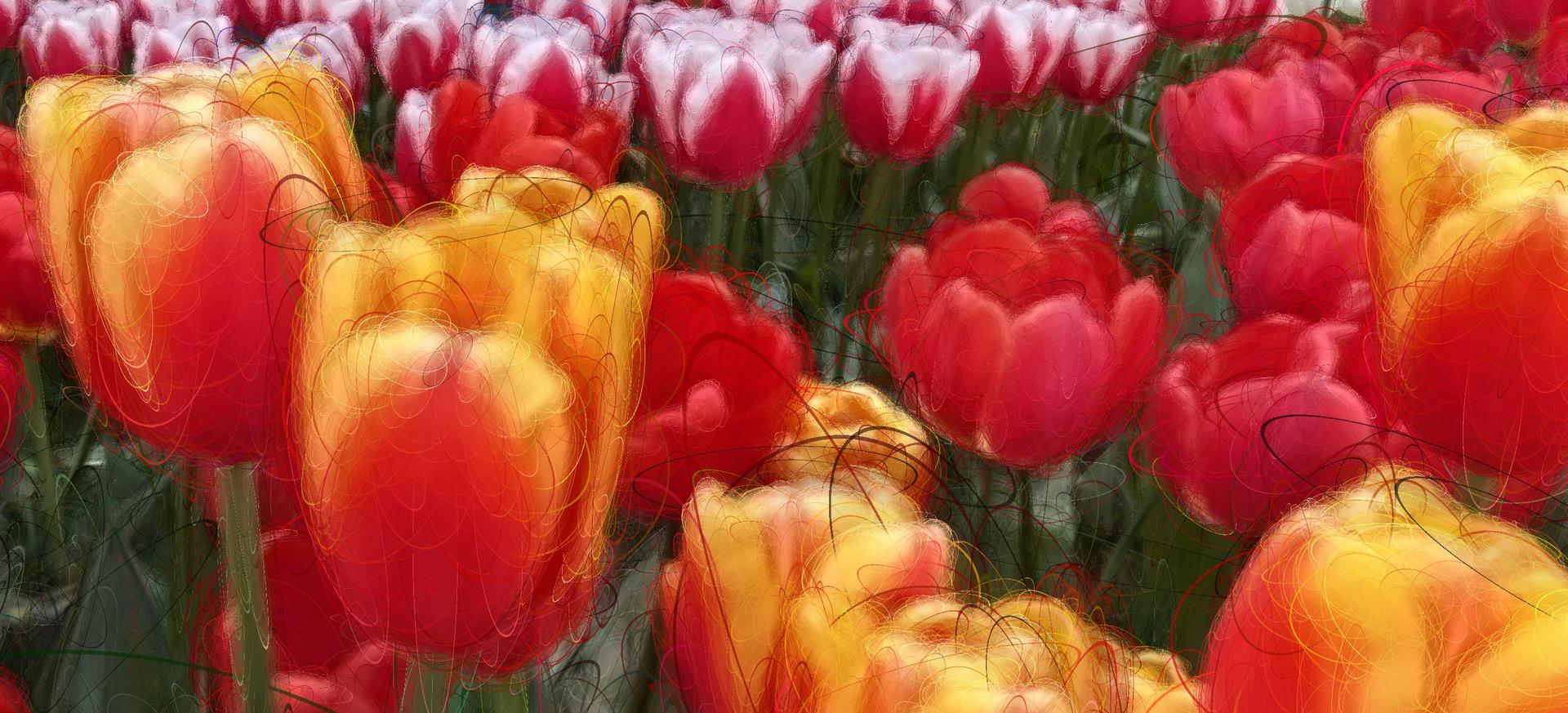 A primer on Gaussian Splats 